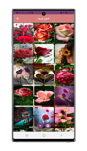 صور حب ورومانسية بدون نت