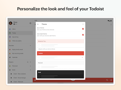 Todoist MOD APK (Premium Unlocked) 11