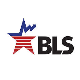 BLS Local Data ikonjának képe