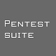 PentestSuite-Community Version
