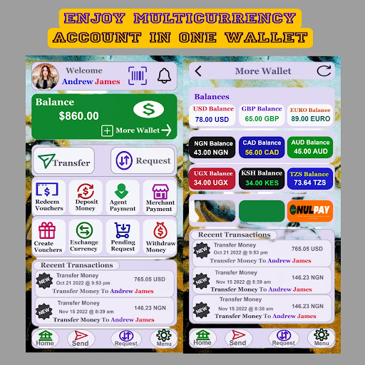 NulPay - Send & Receive Money Screen 3