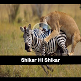 Shikar hi Shikar icon