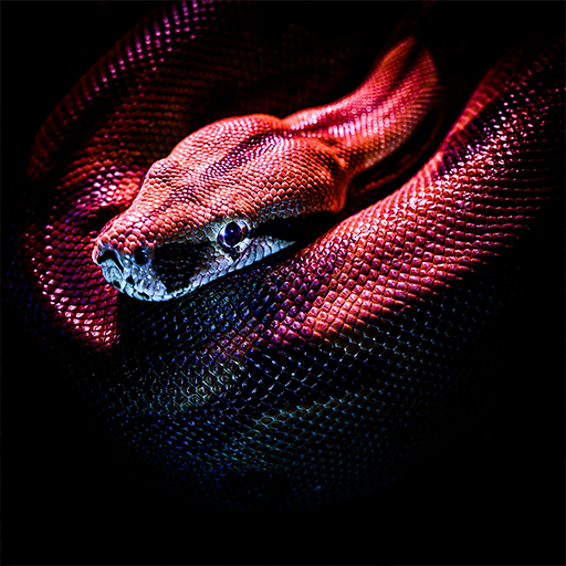 Snake Wallpaper HD, GIF logo