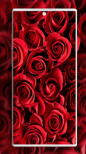 Screenshot of Rose Wallpaper