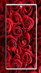 screenshot of Rose Wallpaper