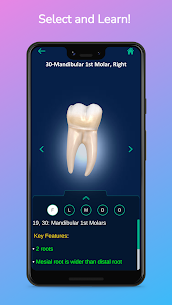 i-DENTify: Dental Anatomy v1.0 APK [Paid] For Android 2