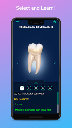 i-DENTify: Dental Anatomyのおすすめ画像2