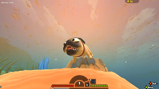 Tips Feed Fish And grow