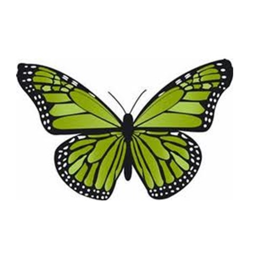 MGLF Vitual Studio logo