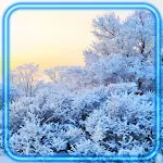 Cover Image of Herunterladen Landscapes Winter  APK