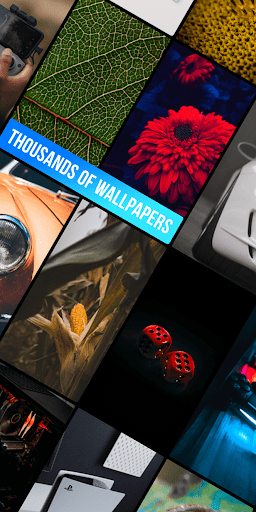 Macro Wallpapers Screen 2