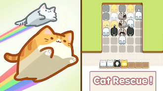Game screenshot Box Cat Jam : Block Match mod apk