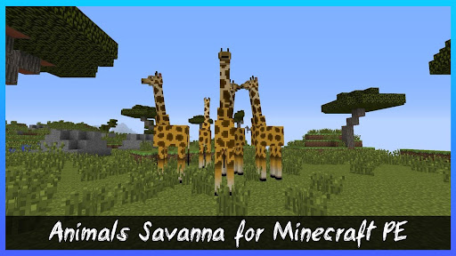 Savana Biome for Minecraft PE
