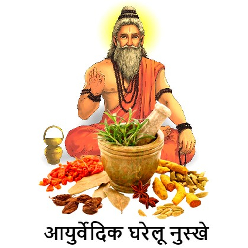 Desi Nuskhe - घरेलू उपचार logo
