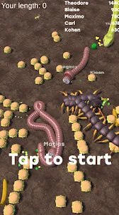 Real Worms.io
