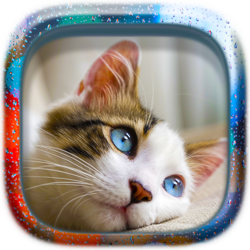 Lovely Cats Puzzle logo