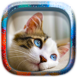 Slika ikone Životinje puzzle: Mačke