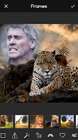 screenshot of Wild Animal Frames for Picture