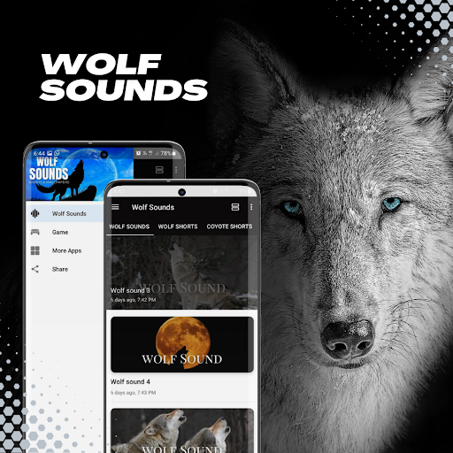 Screenshot of Wolf Sounds-videos-wallpaper