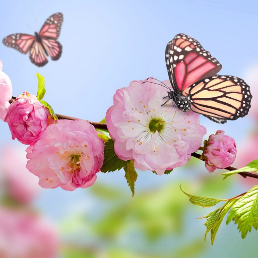 Spring Flowers Wallpapers logo