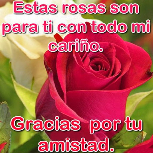Download Rosas con Frases Bonitas Free for Android - Rosas con Frases  Bonitas APK Download - STEPrimo.com