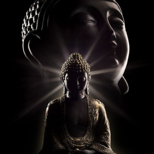 Buddha Amritwani logo