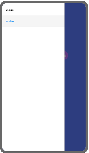 Audio and Video recorder