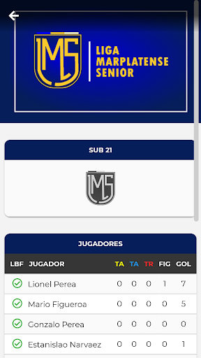 Liga Marplatense Senior Screen 2