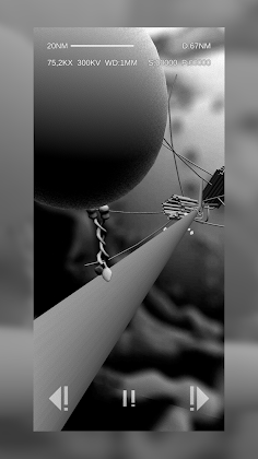 Journey Through Cytoplasm - Screenshot 3
