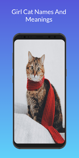 Girl Cat Names