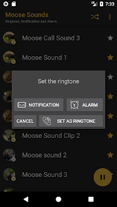 Moose Sounds