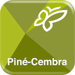 Piné Cembra Turist Guide Apk
