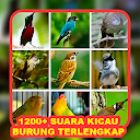 1200+ Suara Kicau Burung MP3