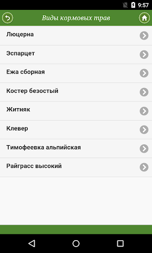 Кормовые культуры: от «А» до « Screen 2