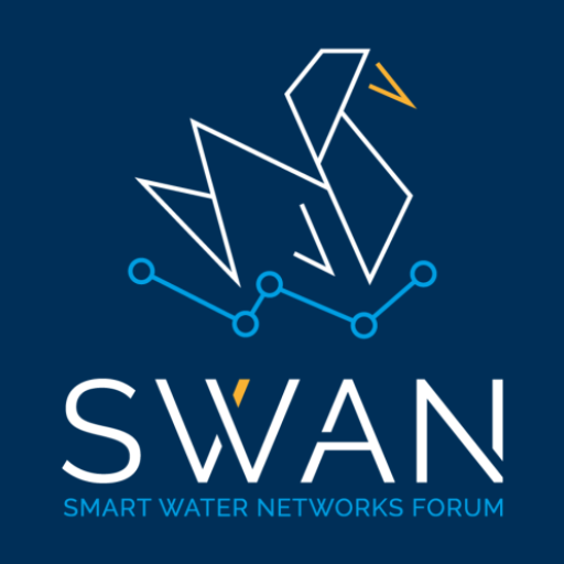 SWAN 13th Annual Conference logo