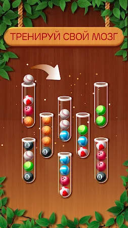 Game screenshot Woody Sort: Сортировать Мячи hack