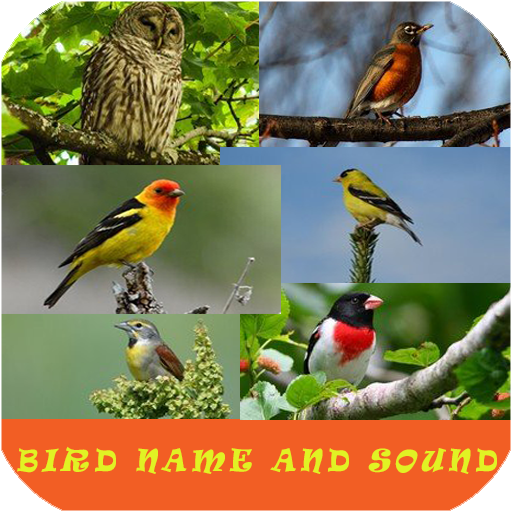 Bird Name And Sound logo