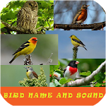 Cover Image of 下载 Bird Name And Sound  APK
