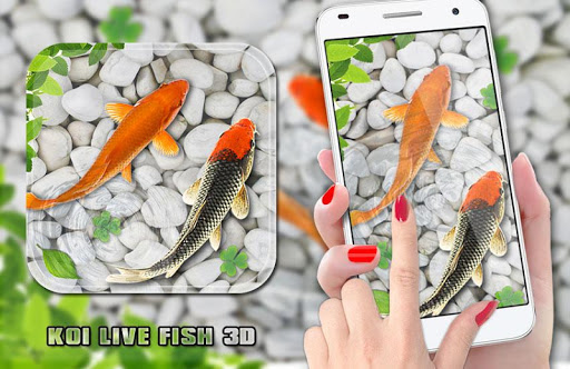 Android application Fish Live Wallpaper Aquarium screenshort