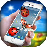 Ladybug On Screen Funny Joke - Bugs in Phone Pro icon