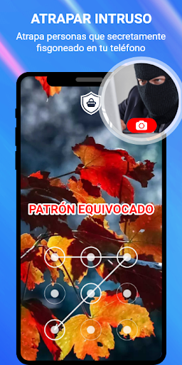 Vista previa de la aplicación