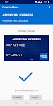 screenshot of American Express Payment Test 