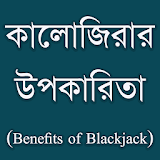 কালোজঠরার উপকারঠতা (Benefits of Blackjack) icon