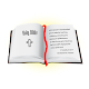 Holy Bible Auf Windows herunterladen