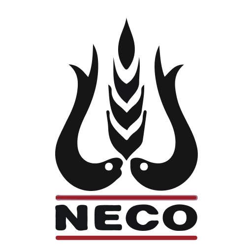 Smart Neco Download on Windows