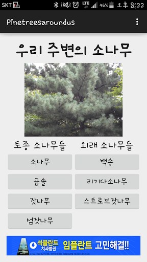 Android application 우리 주변의 소나무 screenshort