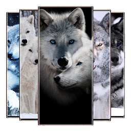 Icon image Wolf wallpapers