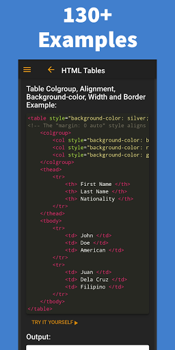 Learn HTML - Pro Screen 3