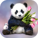 Panda Wallpaper 2023 - Androidアプリ