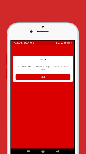 Ring Cash - Real Online Income